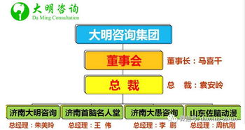 大明咨询集团正式成立 引领保险咨询服务新篇章